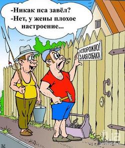 Анекдоты, смешные афоризмы, приколы