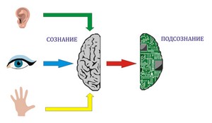 Мозг не просто собирает и складирует информацию подобно жесткому диску.